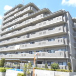 build_0204_080755